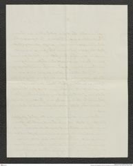 Nachlass Franz Steindachner, Brief von Paul Sachse an Franz Steindachner (15.05.1905), Inv.Nr. 429.02, Seite 4